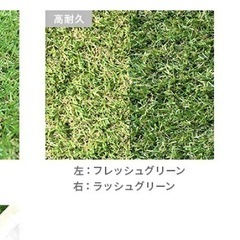 人工芝　新品未使用　※お取引者決定※