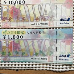 【ネット決済・配送可】ハワイ限定ANA旅行券 ３０万円分