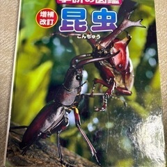 【最終価格】昆虫図鑑