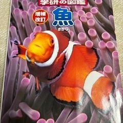 【最終価格】魚図鑑