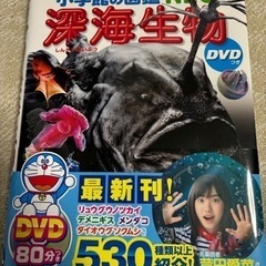 【最終価格】深海生物図鑑