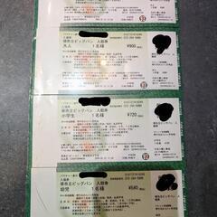 堺市立ビッグバン入館券　4枚セット