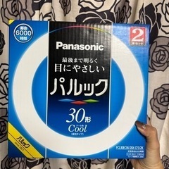 30型照明ライト2つセット