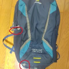 【ネット決済】ドイター deuter　Race Exp Air 14