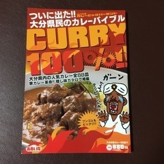 CURRY 100%  カレー本