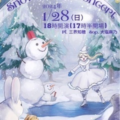 【ネット決済・配送可】1月28日　ピアノ&歌　コンサートチケット