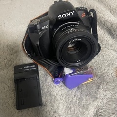 SONY α230、SAL50F18、ボディとレンズのセット(付...