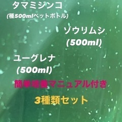 【花火めだか】ゾウリムシ、ミジンコ、ユーグレナ3種類セット　簡単...