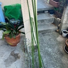 園芸用品　鉢植えなど