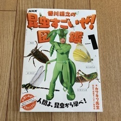 カマキリ先生　本　図鑑　