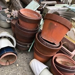 陶器の植木鉢　無料で差し上げます
