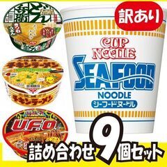 【訳アリ大特価】人気カップ麺9個セット!!