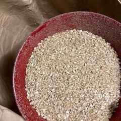 くず米30キロ1900円 ニワトリの餌など飼料用 屑米