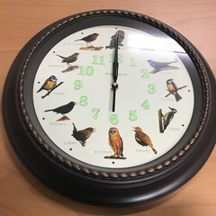 【引取】野鳥の電波時計