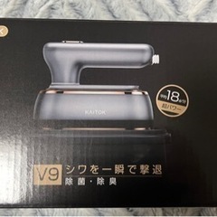 ハンディスチーマー(1回使用)