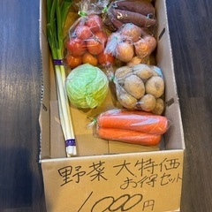 野菜大特価セット
