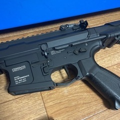 G&G ARP556, ガンリュック他