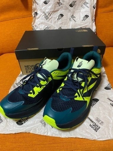 [値下げしました]THE NORTH FACE スニーカー