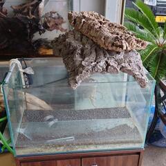 A.D.Aの水槽各種　その他