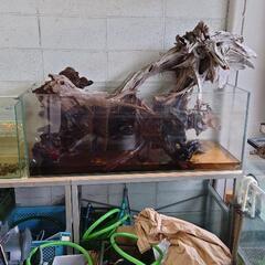 A.D.Aの水槽各種　その他