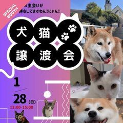 【東松山・吉見エリア】犬猫譲渡会 ジョイライフにて開催！