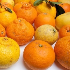 ■富士市産■柑橘系詰合せ■せとか➕ネーブル➕たんかん等