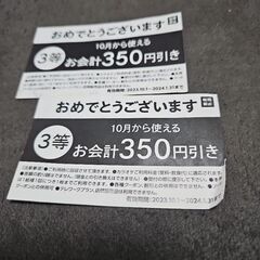 ビックエコー 350円割引きチケット2枚