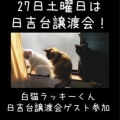 27日土曜日　日吉台譲渡会(猫)