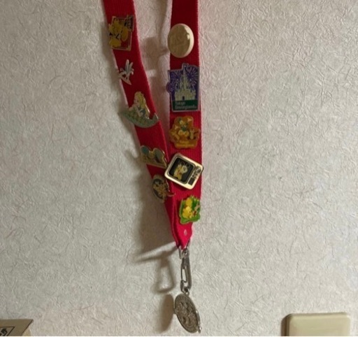 【東京ディズニーランド】ピンバッジセット