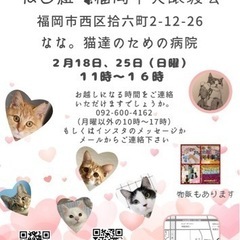 1/18 ねこ組🐾福岡中央譲渡会　なな。猫達のための病院