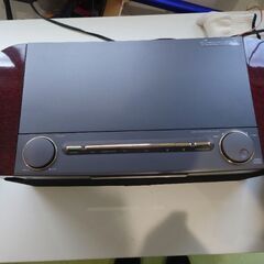 SONY　Celebrity D3000です！