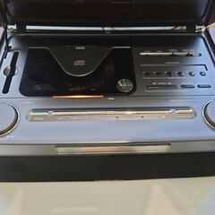 SONY　Celebrity D3000です！