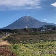 無農薬　　無肥料で安心　安全なじゃがい栽培参加者募集