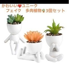 多肉植物フェイク3個セット  新品未使用品  箱入り