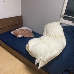 【ネット決済】シングルベッドとマットレス