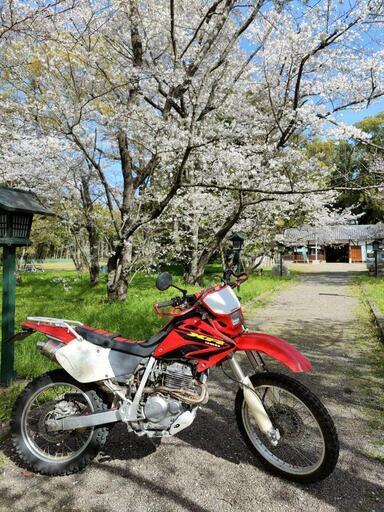 ホンダ xr250