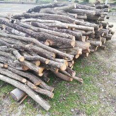 コナラ原木、薪ストーブやキャンプ用の薪、シイタケ用原木などに