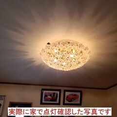 【コレ見て！ 新生活応援】 キシマ ブーケ 5灯シーリングライト...