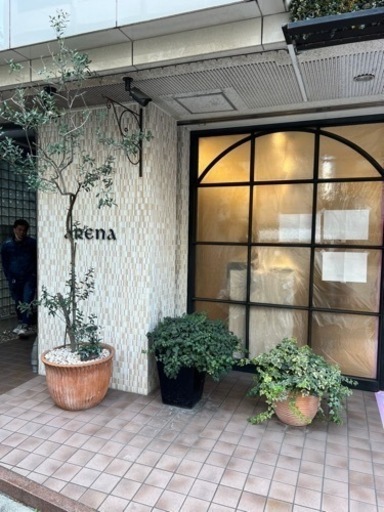 オリーブ