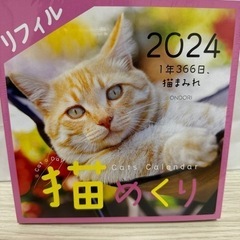 ★2024年 猫カレンダー 新品未開封★