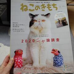 ねこのきもち