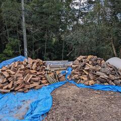 乾いてない広葉樹薪サイズバラバラ　