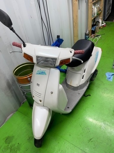 ミント50