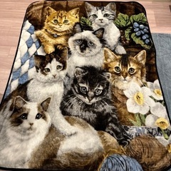 猫柄の毛布 1人用サイズ