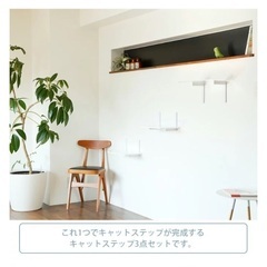 アニマコレ animacolle キャットロードプラス3点セット