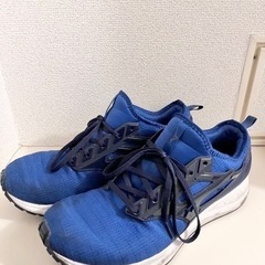 【値段交渉可】スニーカー、運動靴、ランニングシューズ(28cm)