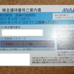 全日空ANA株主優待１枚航空券優待　2024.5.31まで