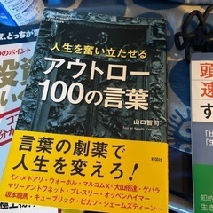 「人生を奮い立たせるアウトロー100の言葉」