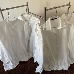 白シャツ　5枚　あげます。
