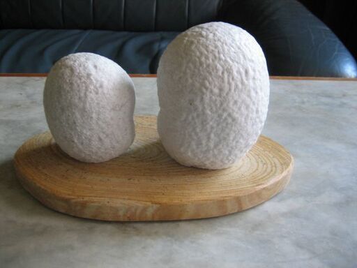 白い御影石の梟の彫刻1対台石付き